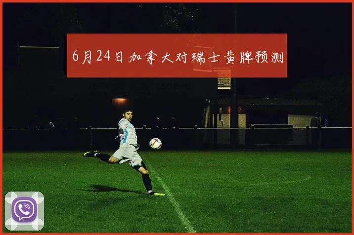 6月24日加拿大对瑞士黄牌预测