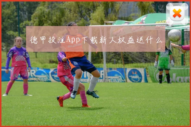 德甲投注App下载新人权益送什么