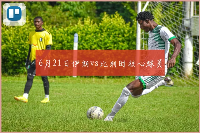 6月21日伊朗vs比利时核心球员
