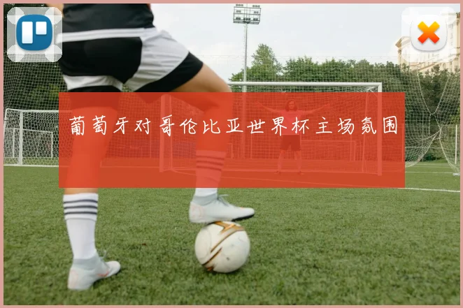 葡萄牙对哥伦比亚世界杯主场氛围