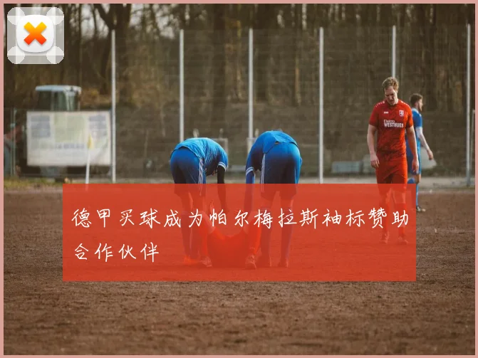 德甲买球成为帕尔梅拉斯袖标赞助合作伙伴